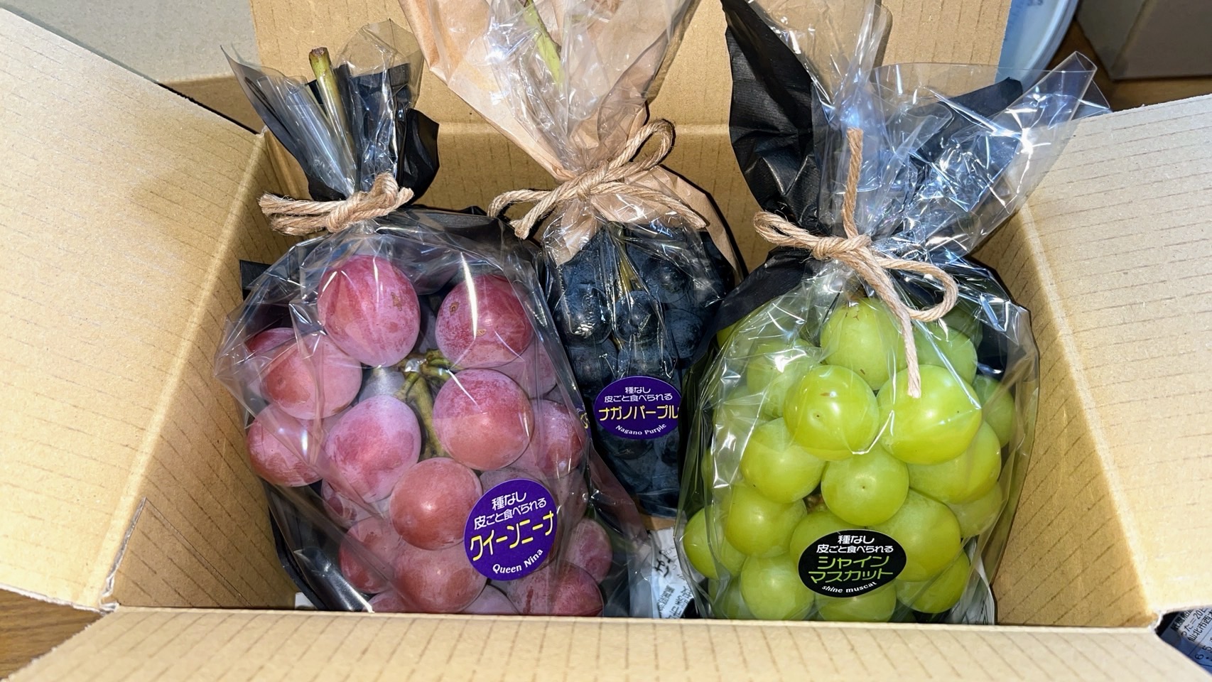 シャインマスカット＋おまかせセット 1kg